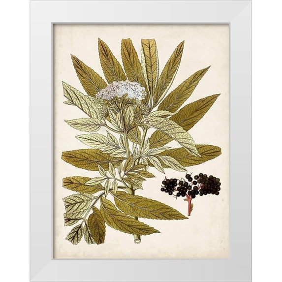 Vision Studio 25x32 White Modern Wood Framed Museum Art Print Titled - Vintage Charm V