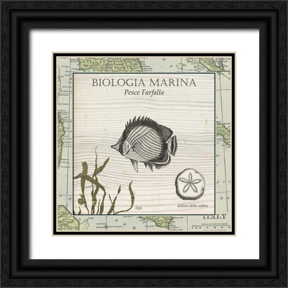 Vision Studio 26x26 Black Ornate Wood Framed with Double Matting Museum Art Print Titled - Biologia Marina I