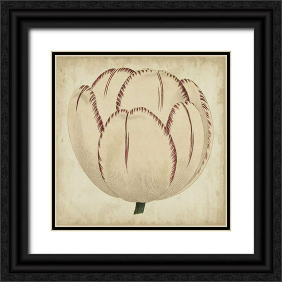 Vision Studio 26x26 Black Ornate Wood Framed with Double Matting Museum Art Print Titled - Pop Floral II