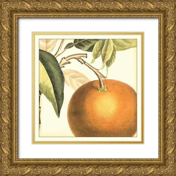Vision Studio 26x26 Gold Ornate Wood Framed with Double Matting Museum Art Print Titled - Graphic Orange