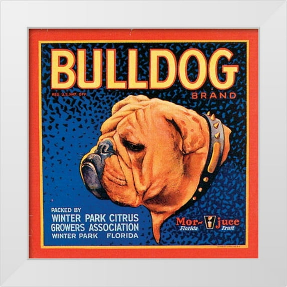 Vision Studio 26x26 White Modern Wood Framed Museum Art Print Titled - Bull Dog