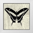thumbnail image 1 of Vision Studio 26x26 White Modern Wood Framed Museum Art Print Titled - Classical Butterfly IV, 1 of 4