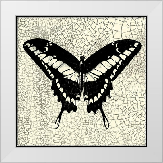 Vision Studio 26x26 White Modern Wood Framed Museum Art Print Titled - Classical Butterfly IV