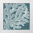 thumbnail image 1 of Vision Studio 26x26 White Modern Wood Framed Museum Art Print Titled - Coastal Menagerie II, 1 of 4