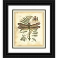 thumbnail image 1 of Vision Studio 26x30 Black Ornate Wood Framed with Double Matting Museum Art Print Titled - Regal Dragonfly III, 1 of 4