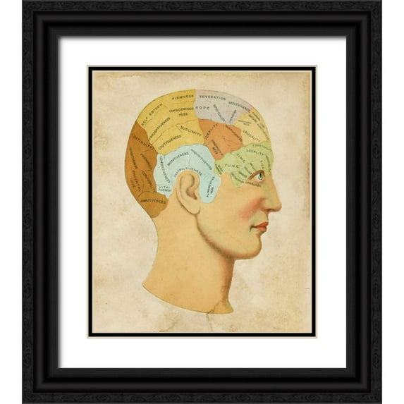 Vision Studio 26x30 Black Ornate Wood Framed with Double Matting Museum Art Print Titled - Vintage Phrenology