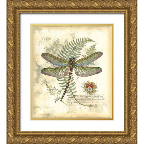 Vision Studio 26x30 Gold Ornate Wood Framed with Double Matting Museum Art Print Titled - Mini Regal Dragonfly I
