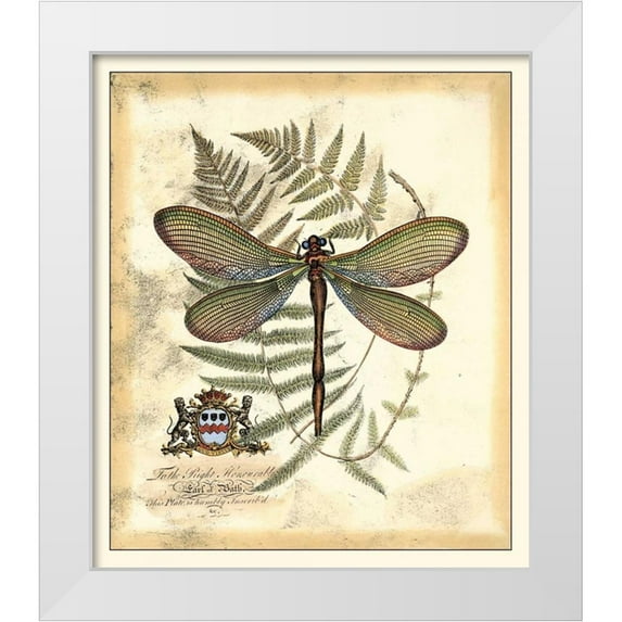 Vision Studio 26x30 White Modern Wood Framed Museum Art Print Titled - Regal Dragonfly II