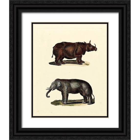 Vision Studio 26x32 Black Ornate Wood Framed with Double Matting Museum Art Print Titled - Animal Studies IV