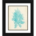 thumbnail image 1 of Vision Studio 26x32 Black Ornate Wood Framed with Double Matting Museum Art Print Titled - Aquamarine Seaweed III, 1 of 4