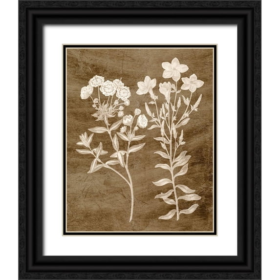 Vision Studio 26x32 Black Ornate Wood Framed with Double Matting Museum Art Print Titled - Botanical in Taupe I