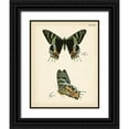 thumbnail image 1 of Vision Studio 26x32 Black Ornate Wood Framed with Double Matting Museum Art Print Titled - Butterfly Profile IV, 1 of 4
