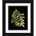 thumbnail image 1 of Vision Studio 26x32 Black Ornate Wood Framed with Double Matting Museum Art Print Titled - Custom Green Leaves on Black VI (LG), 1 of 4