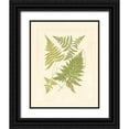 thumbnail image 1 of Vision Studio 26x32 Black Ornate Wood Framed with Double Matting Museum Art Print Titled - Ferns with Platemark VI, 1 of 4