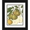 thumbnail image 1 of Vision Studio 26x32 Black Ornate Wood Framed with Double Matting Museum Art Print Titled - Pear Varieties II, 1 of 4