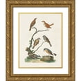 thumbnail image 1 of Vision Studio 26x32 Gold Ornate Wood Framed with Double Matting Museum Art Print Titled - Antique Birds in Nature IV, 1 of 4