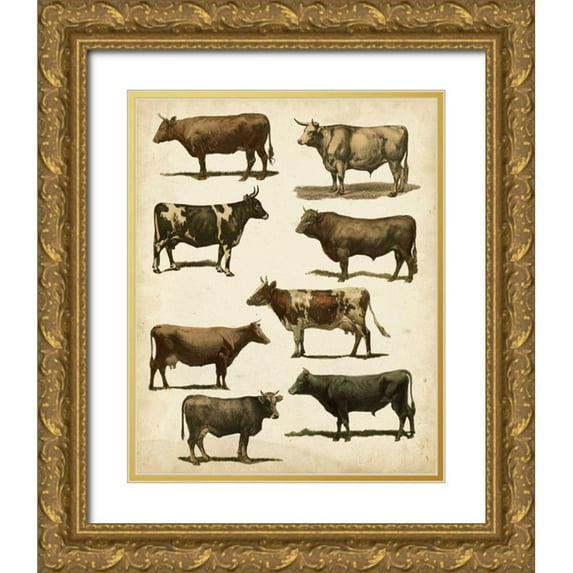 Vision Studio 26x32 Gold Ornate Wood Framed with Double Matting Museum Art Print Titled - Antique Cow Chart