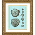 thumbnail image 1 of Vision Studio 26x32 Gold Ornate Wood Framed with Double Matting Museum Art Print Titled - Tinted Shells on Aqua III, 1 of 4