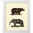 thumbnail image 1 of Vision Studio 26x32 White Modern Wood Framed Museum Art Print Titled - Animal Studies IV, 1 of 4