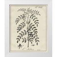 thumbnail image 1 of Vision Studio  26x32 White Modern Wood Framed Museum Art Print Titled - Antique Black and White Botanical IX, 1 of 4
