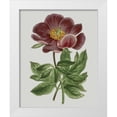 thumbnail image 1 of Vision Studio 26x32 White Modern Wood Framed Museum Art Print Titled - Floral Gems II, 1 of 4
