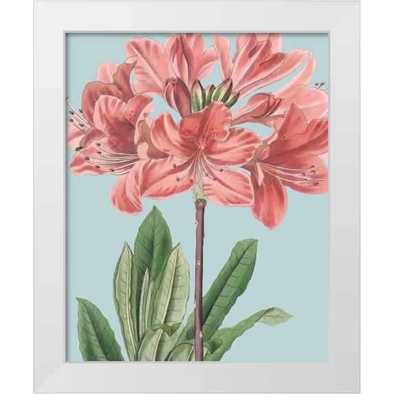 Vision Studio 26x32 White Modern Wood Framed Museum Art Print Titled - Fresh Florals III