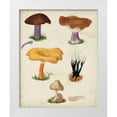 thumbnail image 1 of Vision Studio 26x32 White Modern Wood Framed Museum Art Print Titled - Mushroom Species VII, 1 of 4