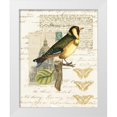thumbnail image 1 of Vision Studio 26x32 White Modern Wood Framed Museum Art Print Titled - Naturalists Collage IV, 1 of 4
