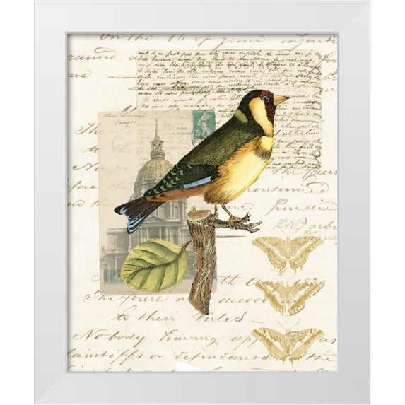 Vision Studio 26x32 White Modern Wood Framed Museum Art Print Titled - Naturalists Collage IV