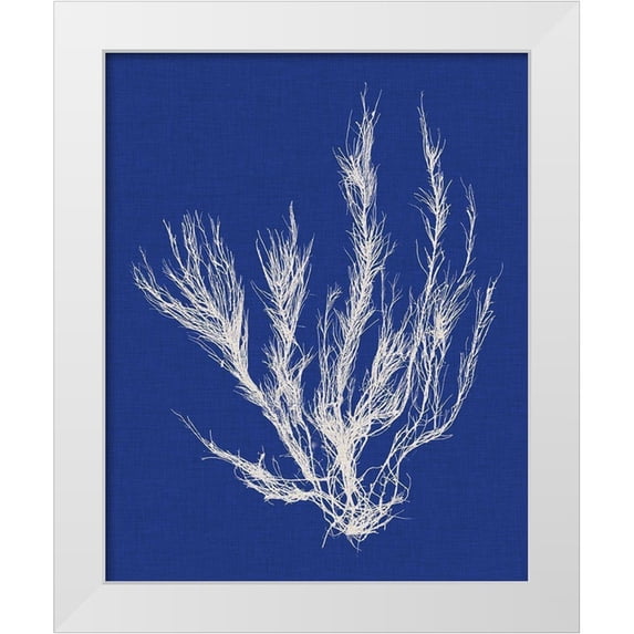 Vision Studio 26x32 White Modern Wood Framed Museum Art Print Titled - Seaweed Pop VI