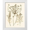 thumbnail image 1 of Vision Studio 26x32 White Modern Wood Framed Museum Art Print Titled - Sepia Nature Study III, 1 of 4