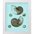thumbnail image 1 of Vision Studio 26x32 White Modern Wood Framed Museum Art Print Titled - Tinted Shells on Aqua I, 1 of 4