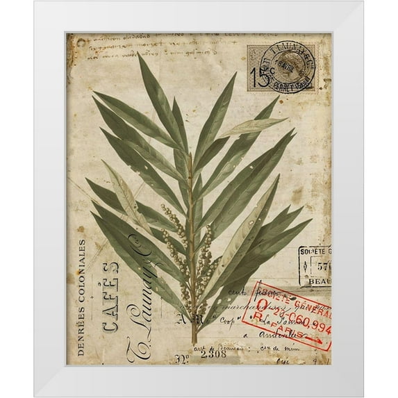 Vision Studio 26x32 White Modern Wood Framed Museum Art Print Titled - Vintage Natures Greenery I