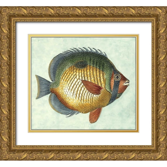 Vision Studio 29x26 Gold Ornate Wood Framed with Double Matting Museum Art Print Titled - Small Butterfly Fish I