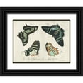 thumbnail image 1 of Vision Studio 32x25 Black Ornate Wood Framed with Double Matting Museum Art Print Titled - Crackled Butterflies III, 1 of 4
