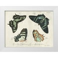 thumbnail image 1 of Vision Studio 32x25 White Modern Wood Framed Museum Art Print Titled - Crackled Butterflies III, 1 of 4