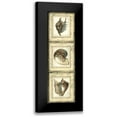 thumbnail image 1 of Vision Studio 7x14 Black Modern Framed Museum Art Print Titled - Mini Rustic Shell Panel II, 1 of 5