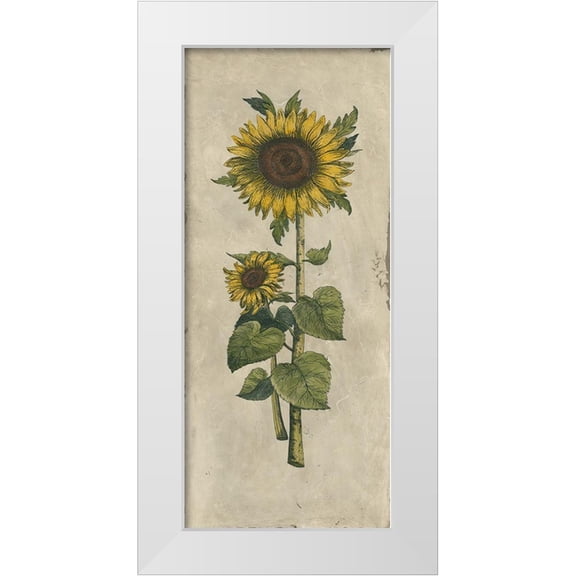 Vision Studio 8x14 White Modern Wood Framed Museum Art Print Titled - Sunflower Fresco II