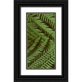 thumbnail image 1 of Vision Studio 9x14 Black Ornate Wood Framed with Double Matting Museum Art Print Titled - Patterned Nature II, 1 of 4