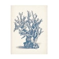 thumbnail image 1 of Vision Studio 'Antique Coral Collection V' Canvas Art, 1 of 4