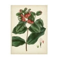 thumbnail image 1 of Vision Studio 'Antique Foliage and Fruit IV' Canvas Art, 1 of 3