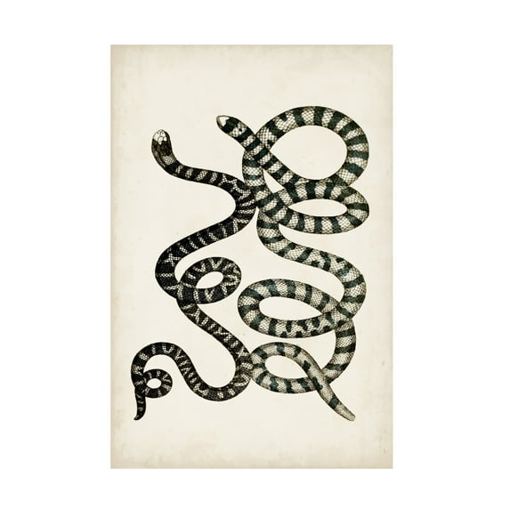 Vision Studio 'Antique Snakes VI' Canvas Art