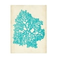 thumbnail image 1 of Vision Studio 'Aquamarine Seaweed V' Canvas Art, 1 of 3