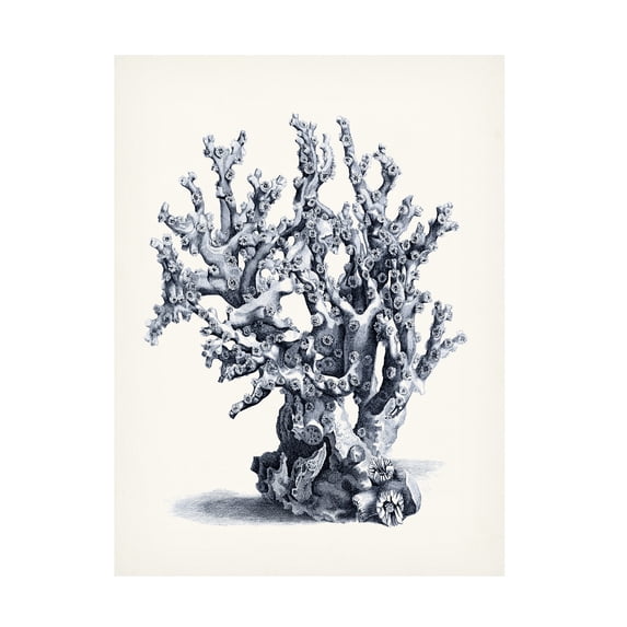 Vision Studio 'Blue Antique Coral II' Canvas Art