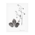 thumbnail image 1 of Vision Studio 'Botanical Imprint IV' Canvas Art, 1 of 3
