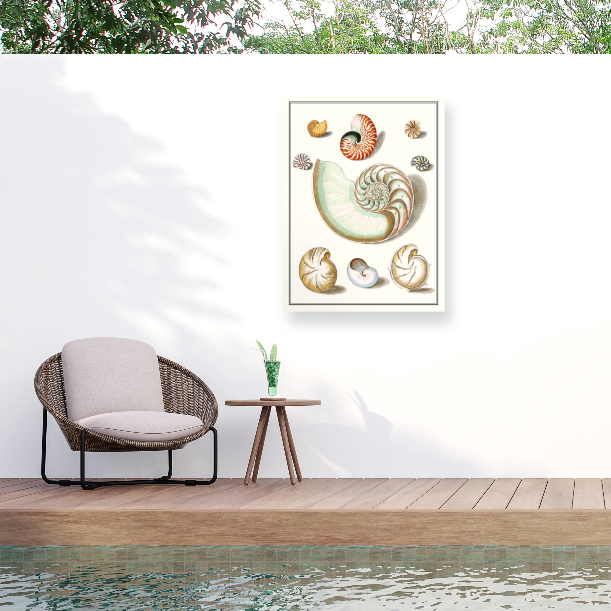 Vision Studio 'Collected Shells II' Outdoor Canvas