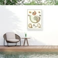 thumbnail image 1 of Vision Studio 'Collected Shells II' Outdoor Canvas, 1 of 3