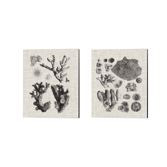 Vision Studio 'Coral Specimen C' Canvas Art (Set of 2)
