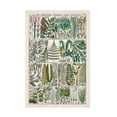 thumbnail image 1 of Vision Studio 'Fern Chart' Canvas Art, 1 of 3
