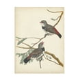 thumbnail image 1 of Vision Studio 'Graceful Birds I' Canvas Art, 1 of 3